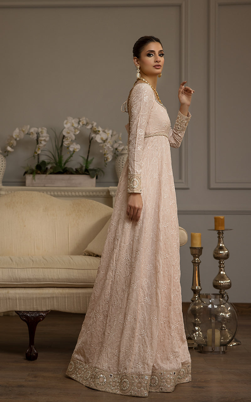 Blush Pink Chikankari Embroidered Chiffon Maxi (1-Pc) - Image 3