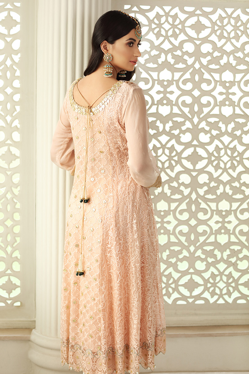 Pakistani Pale Blush Embroidered Chiffon Peshwas (2-Piece) - Image 3