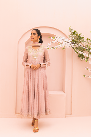 Tea Pink Embroidered Chiffon Pishwas (3-Piece) - Image 4