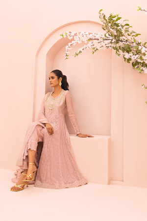 Tea Pink Embroidered Chiffon Pishwas (3-Piece) - Image 5