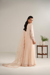 Pakistani Blush Pink Embroidered Chiffon Pishwas Dress (2-Piece) - Image 5