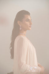 Pakistani Blush Pink Embroidered Chiffon Pishwas Dress (2-Piece) - Image 9