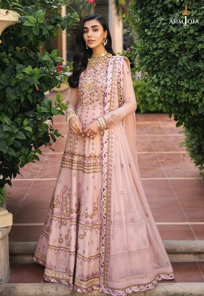 Blush Pink Embroidered Chiffon Pishwas (3-Piece) - Image 1
