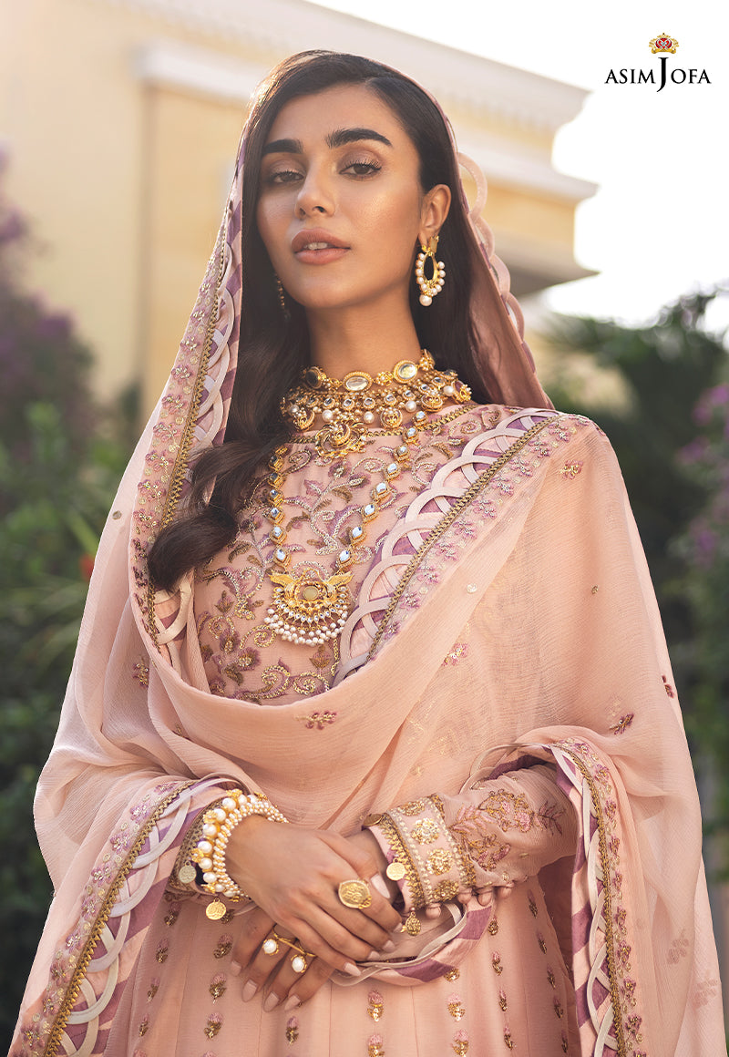 Blush Pink Embroidered Chiffon Pishwas (3-Piece) - Image 4
