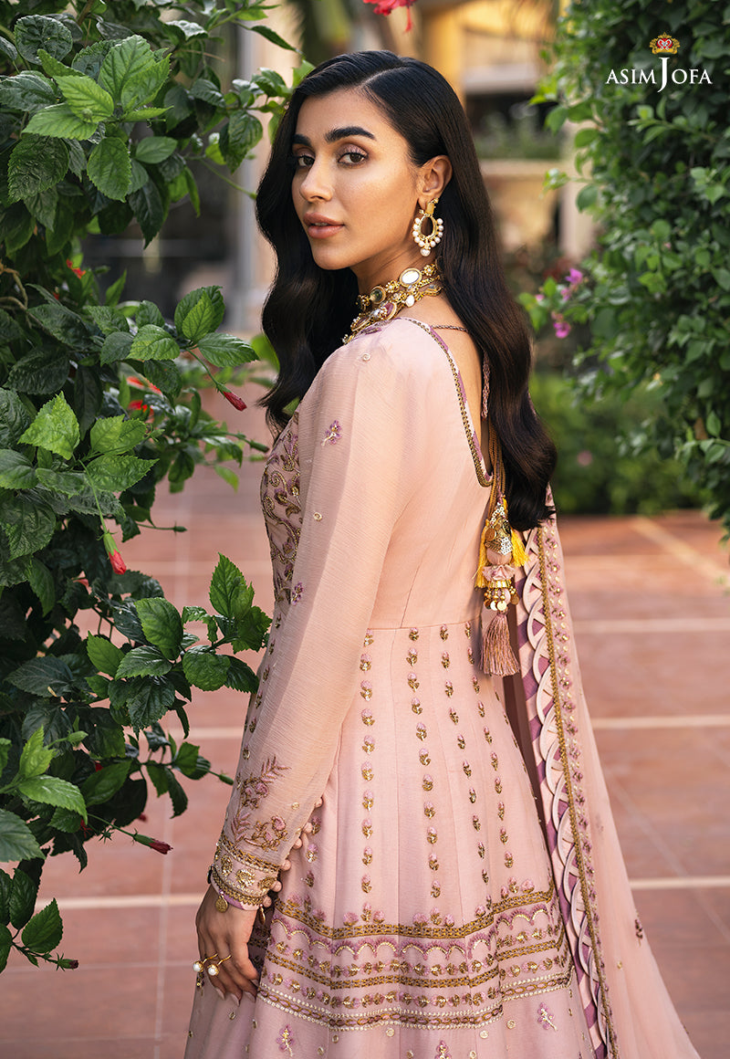 Blush Pink Embroidered Chiffon Pishwas (3-Piece) - Image 5