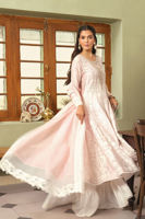 Light Pink Embroidered Pishwas Dress (3-Piece) - Image 3