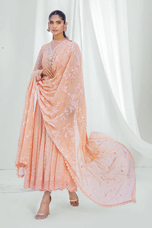 Pakistani Peach Embroidered Chiffon Pishwas (3-Piece) - Image 2