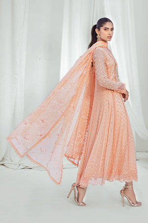 Pakistani Peach Embroidered Chiffon Pishwas (3-Piece) - Image 4