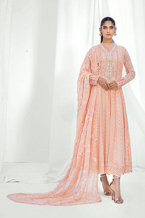 Pakistani Peach Embroidered Chiffon Pishwas (3-Piece) - Image 6
