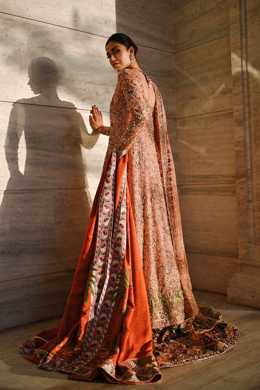 Pakistani Coral Embellished French Tulle Pishwas (3-Piece) - Image 3