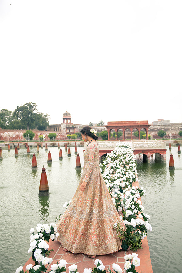 Indian Blush Pink Embroidered Net Pishwas Dress (3-Piece) - Image 6