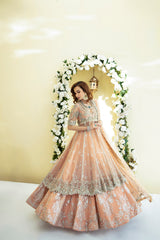Pakistani Peach 3D Floral Net Pishwas Dress (3-Piece) - Image 5