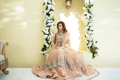 Pakistani Peach 3D Floral Net Pishwas Dress (3-Piece) - Image 7