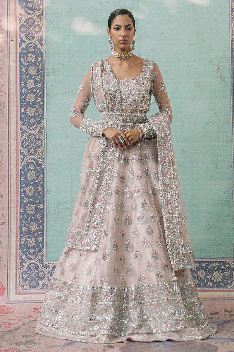 Pakistani Powder Pink Embellished Net Pishwas Dress (2-Piece) - Image 1