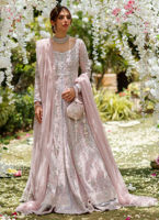 Pakistani Mauve Hand-Embellished Net Pishwas Dress (2-Piece) - Image 6