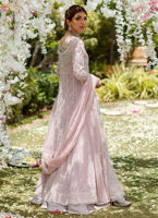 Pakistani Mauve Hand-Embellished Net Pishwas Dress (2-Piece) - Image 7