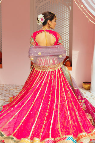 Shocking Pink Embroidered Net Pishwas Dress (3-Piece) - Image 3