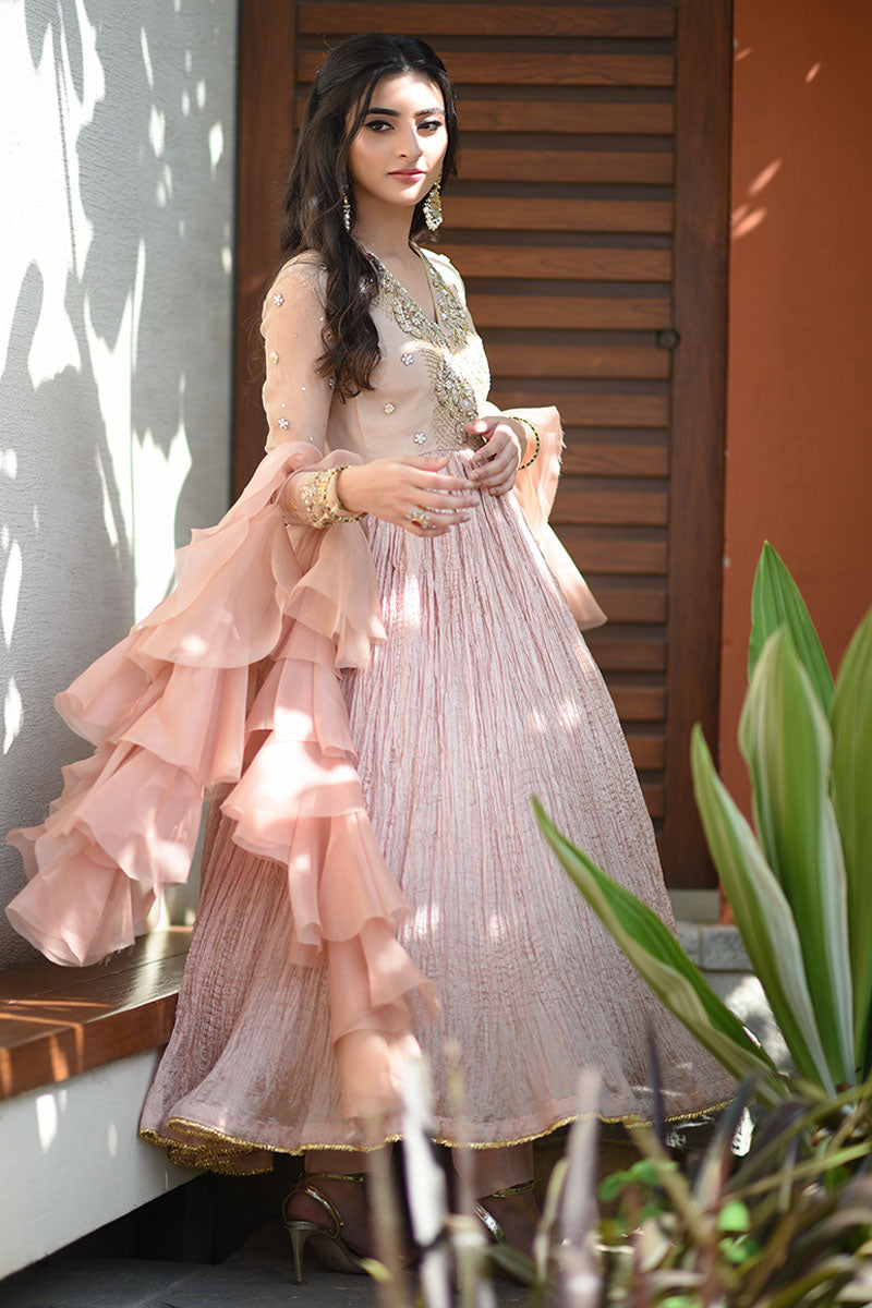 Chai Pink Handworked Net Pishwas Dress (2-Piece) - Image 1