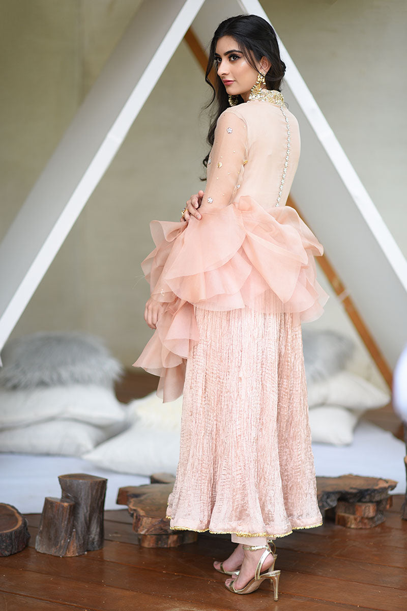 Chai Pink Handworked Net Pishwas Dress (2-Piece) - Image 4