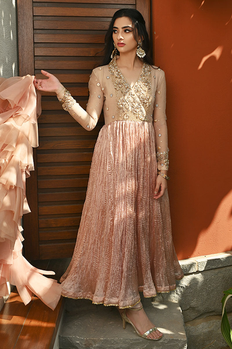Chai Pink Handworked Net Pishwas Dress (2-Piece) - Image 7