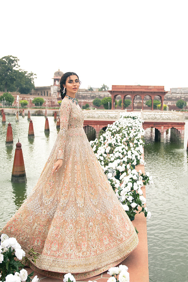 Pakistani Blush Pink Embroidered Net Pishwas Dress (3-Piece) - Image 2