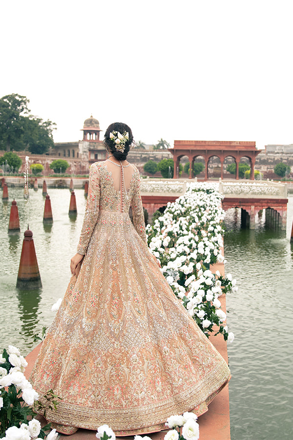 Pakistani Blush Pink Embroidered Net Pishwas Dress (3-Piece) - Image 3