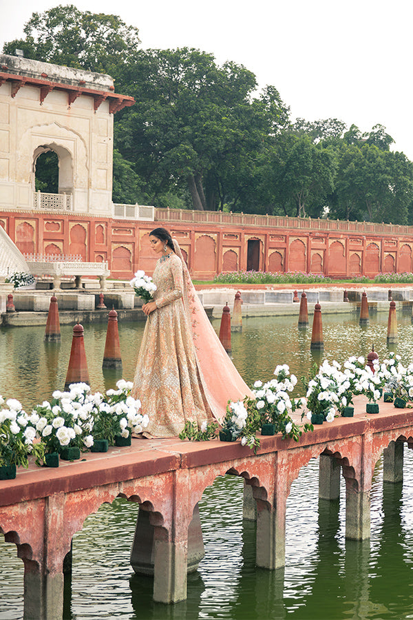 Pakistani Blush Pink Embroidered Net Pishwas Dress (3-Piece) - Image 5
