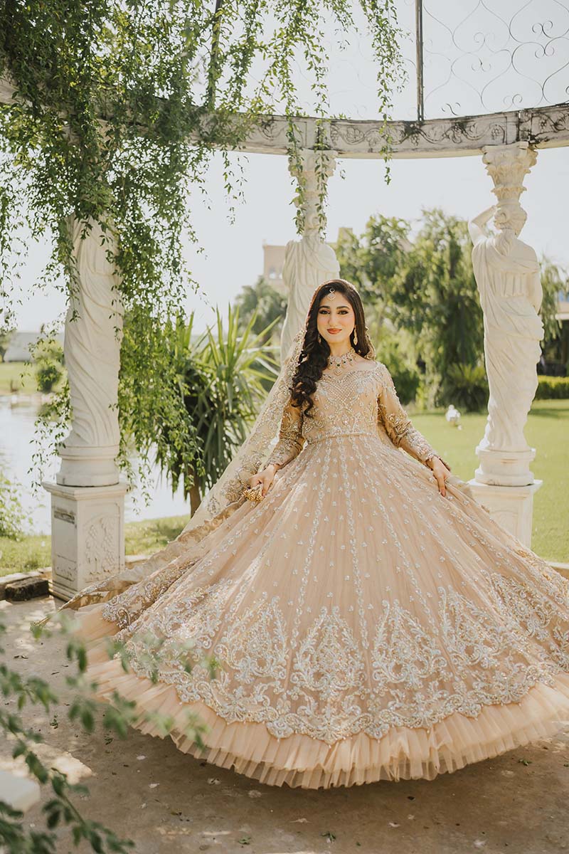 Pakistani Soft Pink Embroidered Net Pishwas Dress (3-Piece) - Image 1