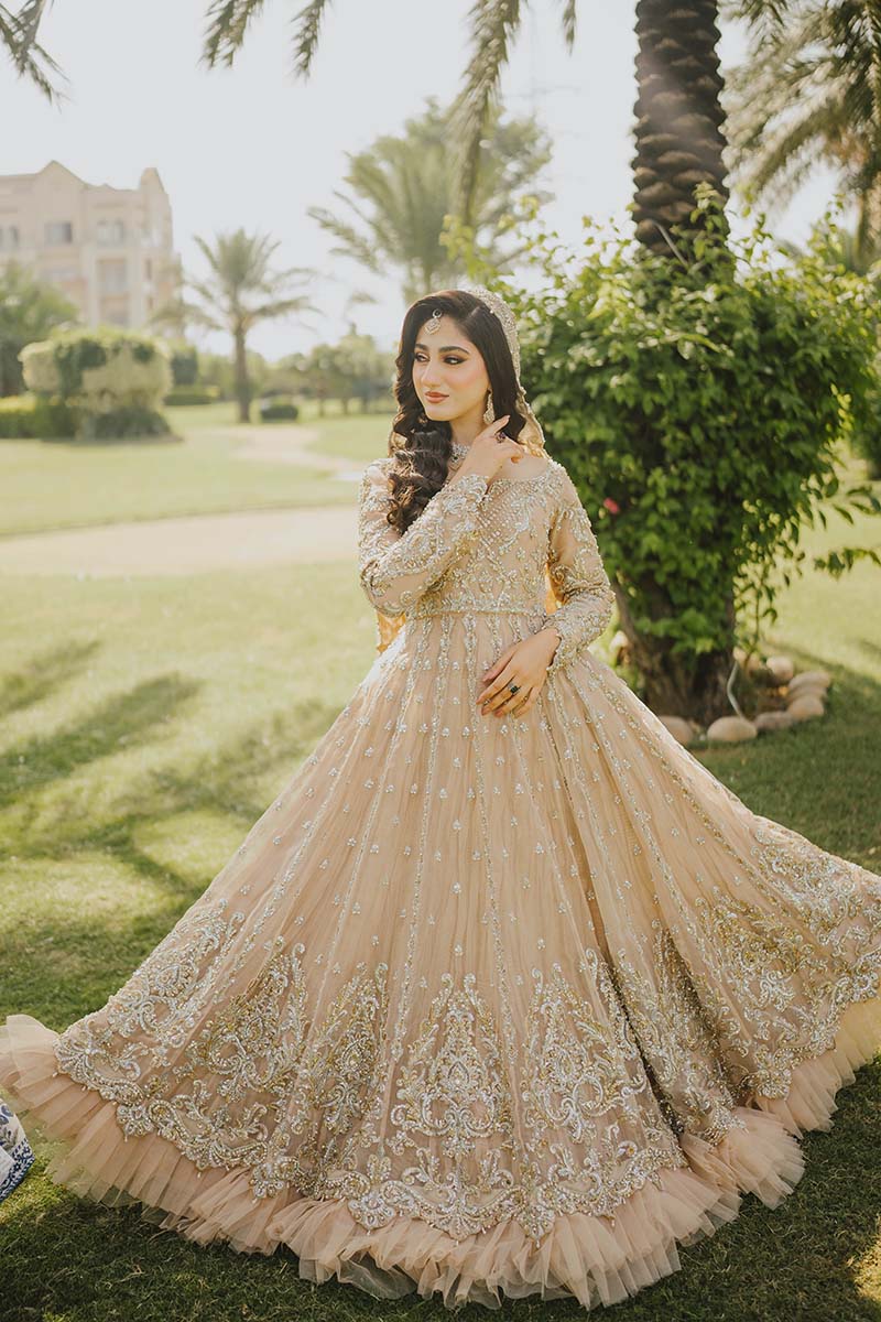 Pakistani Soft Pink Embroidered Net Pishwas Dress (3-Piece) - Image 2