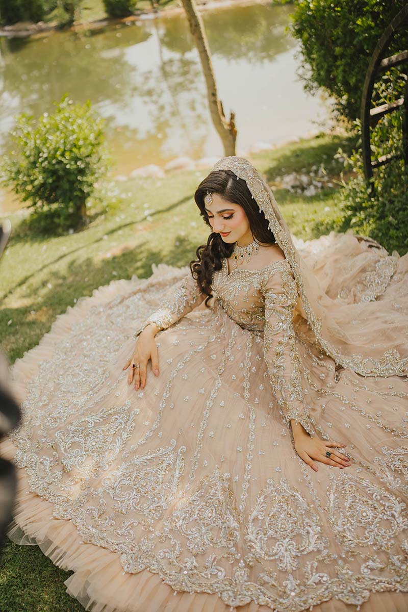 Pakistani Soft Pink Embroidered Net Pishwas Dress (3-Piece) - Image 3