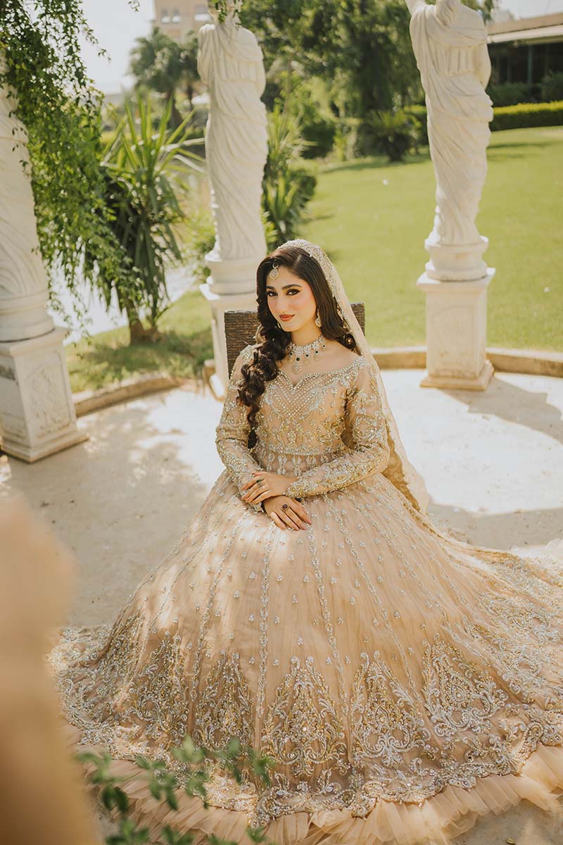 Pakistani Soft Pink Embroidered Net Pishwas Dress (3-Piece) - Image 4