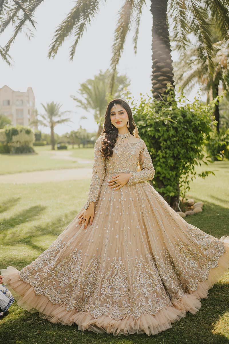 Pakistani Soft Pink Embroidered Net Pishwas Dress (3-Piece) - Image 9