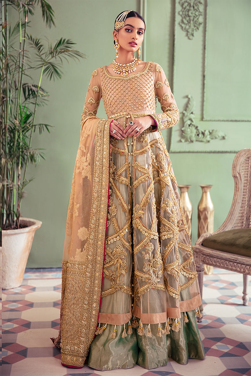 Coral Embroidered Net Pishwas Dress (3-Piece) - Image 1