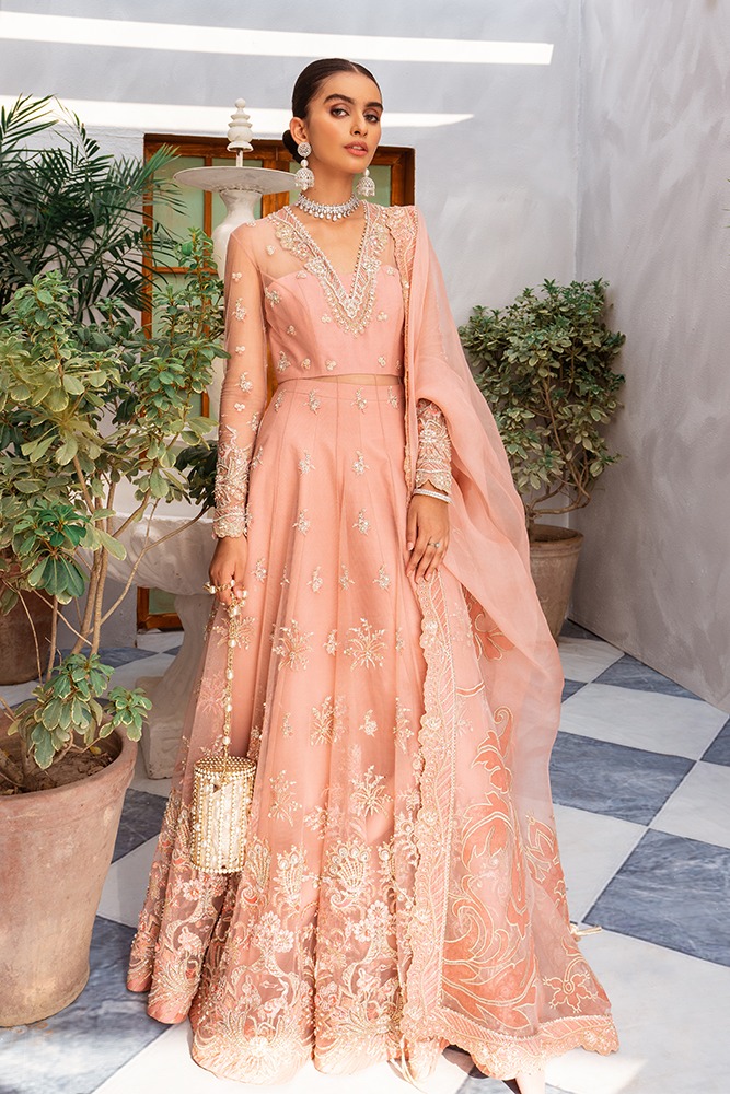 Blush Pink Embroidered Net Pishwas Dress (3-Piece) - Image 1