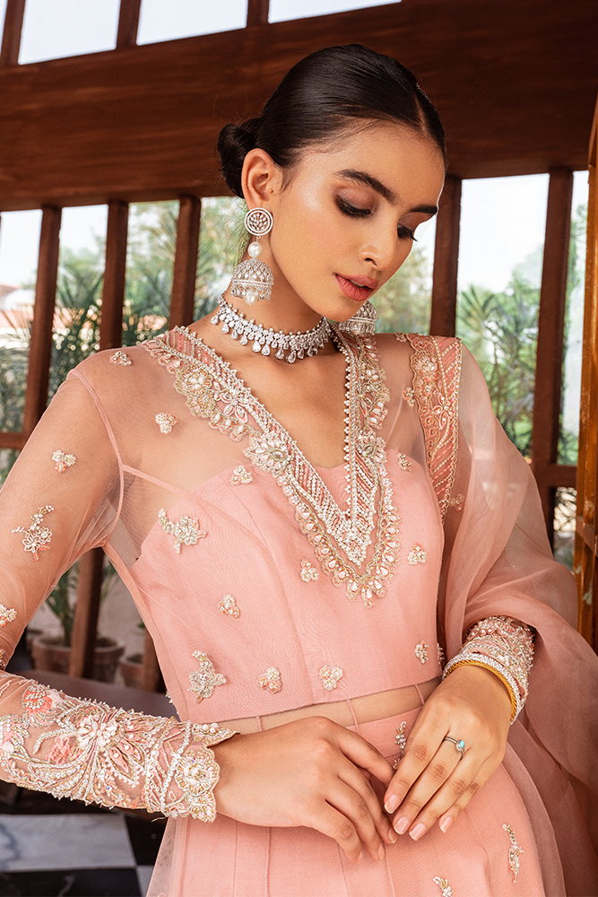 Blush Pink Embroidered Net Pishwas Dress (3-Piece) - Image 3