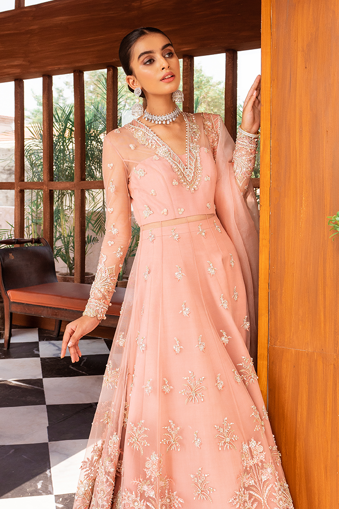 Blush Pink Embroidered Net Pishwas Dress (3-Piece) - Image 4