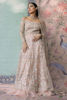 Pakistani Blush Pink Embroidered Net Pishwas Dress (2-Piece) - Image 3