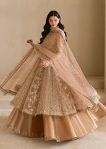 Dusty Pink Embroidered Net Pishwas Dress (3-Piece) - Image 7