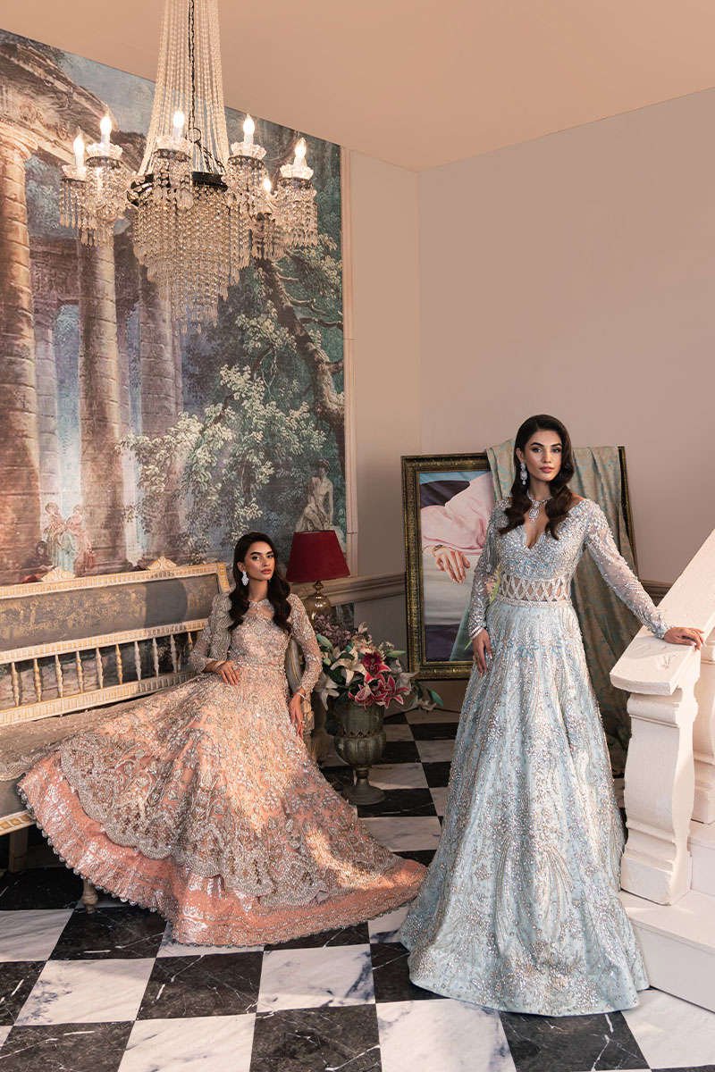 Peach Embellished Net Pishwas Dress (3-Piece) - Image 13