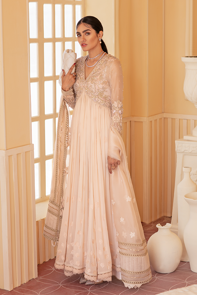 Blush Pink Embroidered Organza Chiffon Pishwas (3-Piece) - Image 1