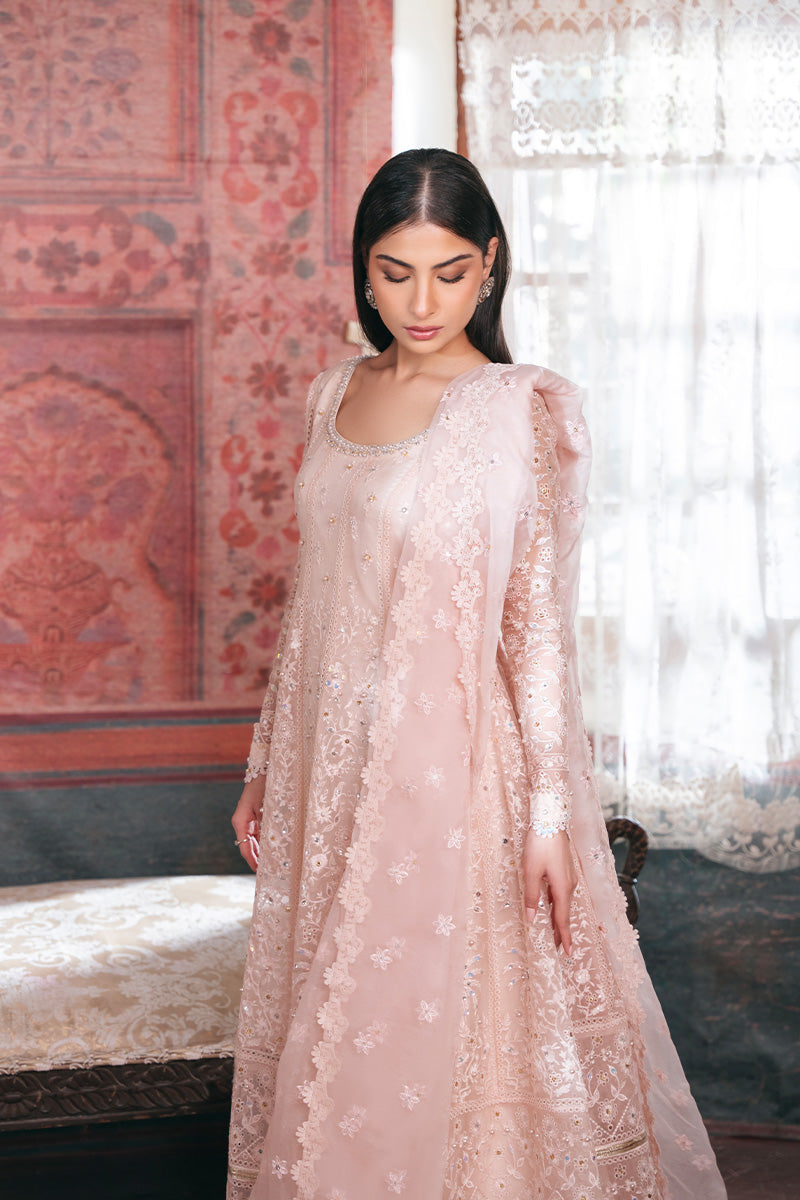 Soft Pink Embroidered Organza Pishwas Dress (3-Piece) - Image 4