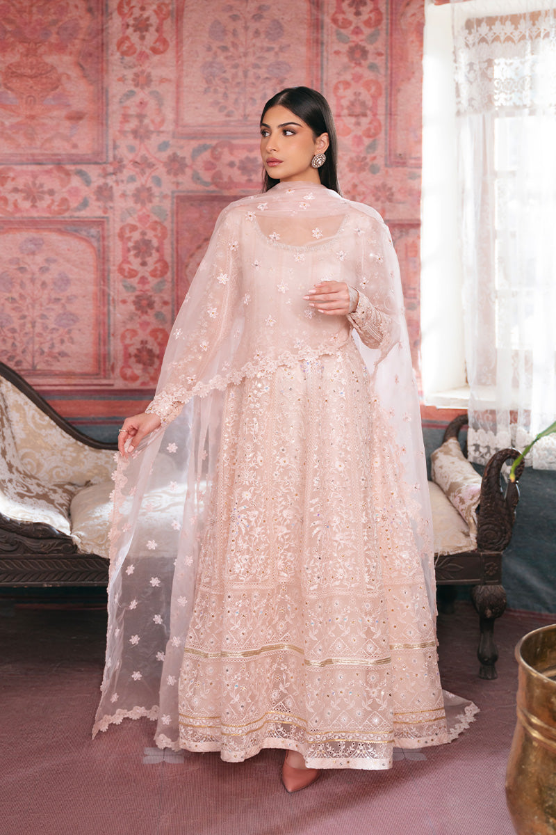 Soft Pink Embroidered Organza Pishwas Dress (3-Piece) - Image 5