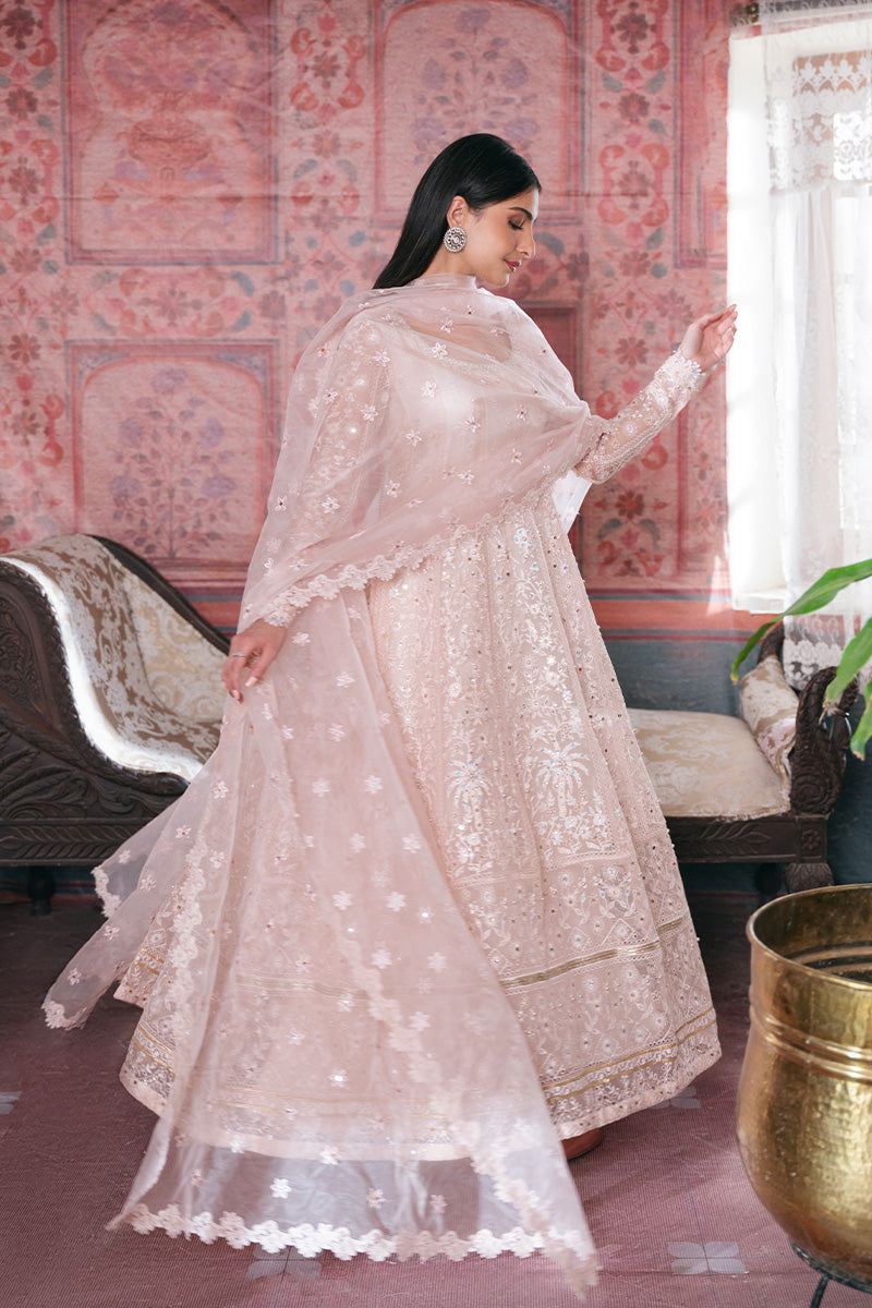 Soft Pink Embroidered Organza Pishwas Dress (3-Piece) - Image 8
