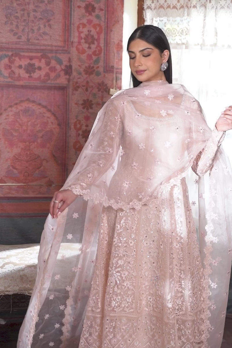 Soft Pink Embroidered Organza Pishwas Dress (3-Piece) - Image 9