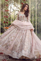 Blush Pink Embellished Organza Pishwas (2-Piece) - Image 1