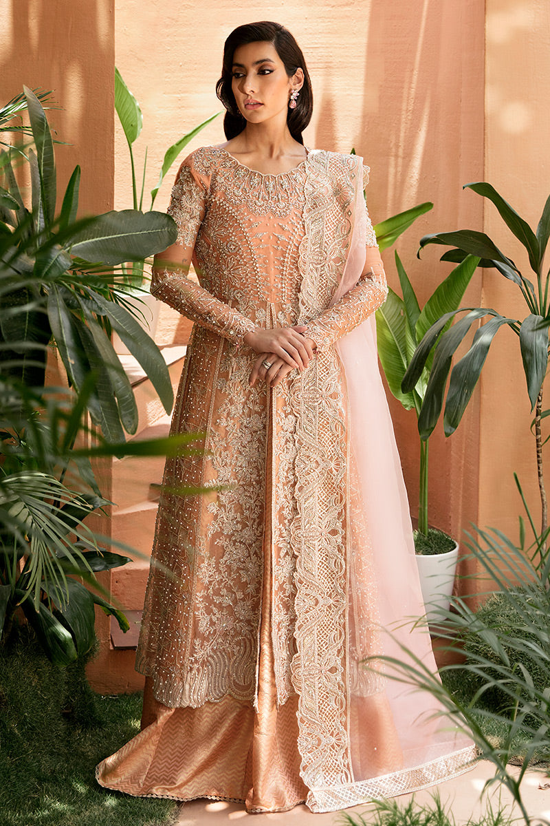 Pakistani Peach Hand-Embellished Organza Pishwas Dress (2-Piece) - Image 1