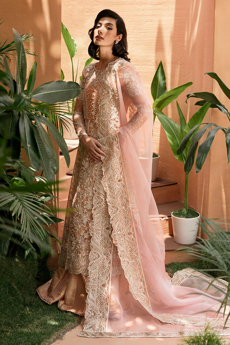 Pakistani Peach Hand-Embellished Organza Pishwas Dress (2-Piece) - Image 3