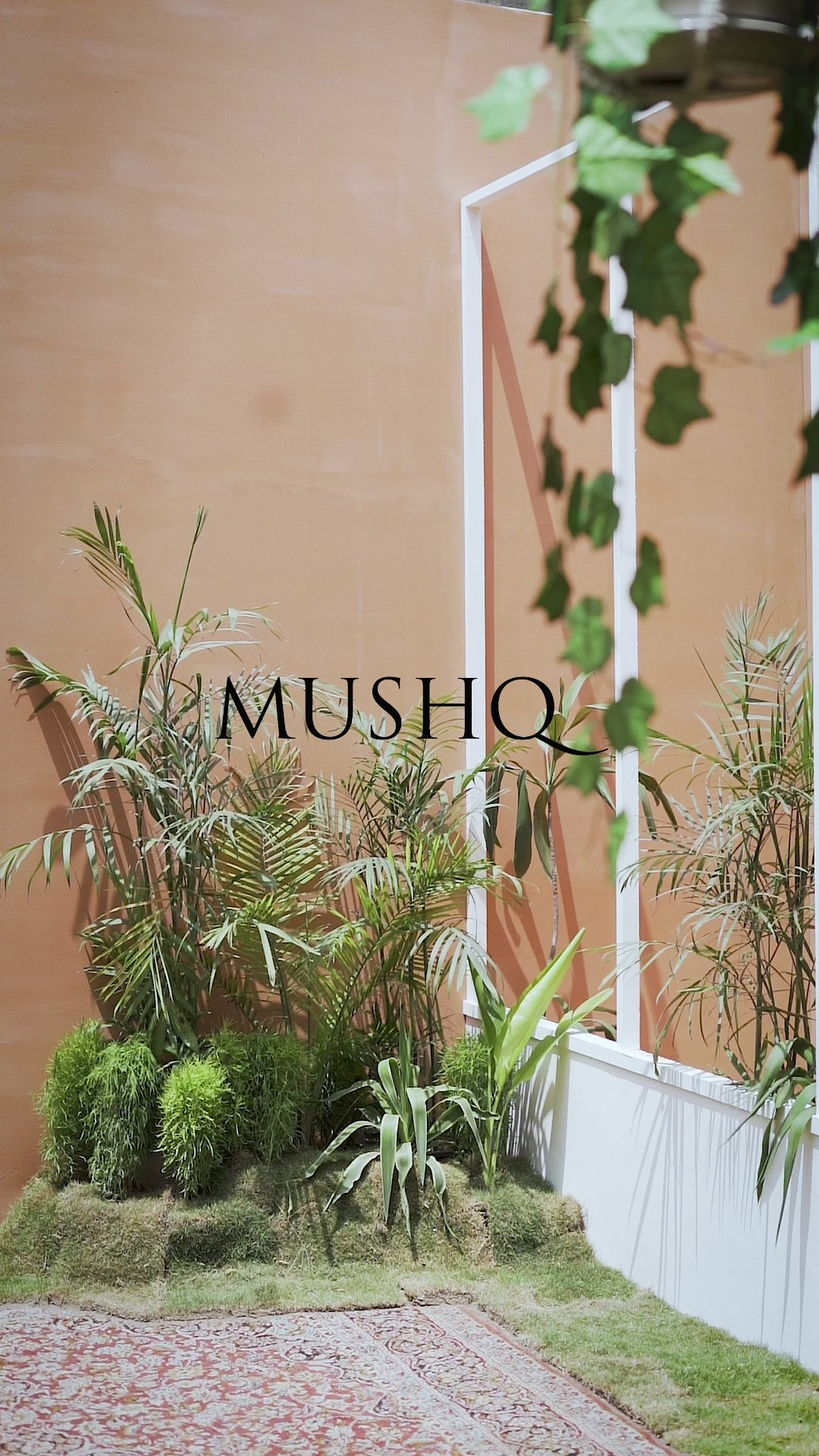 Pakistani Peach Hand-Embellished Organza Pishwas Dress (2-Piece) - Image 8