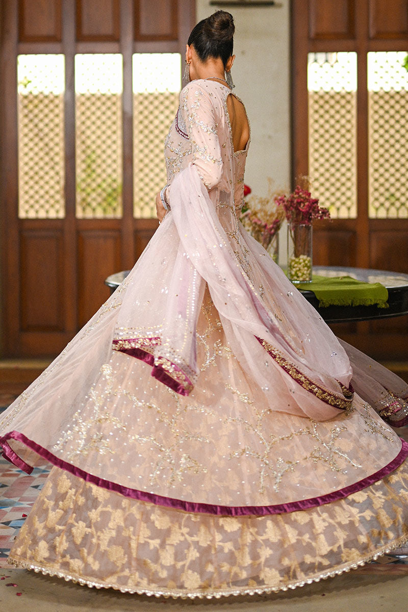 Kashmiri Chai Pink Embroidered Organza Pishwas (3-Piece) - Image 2