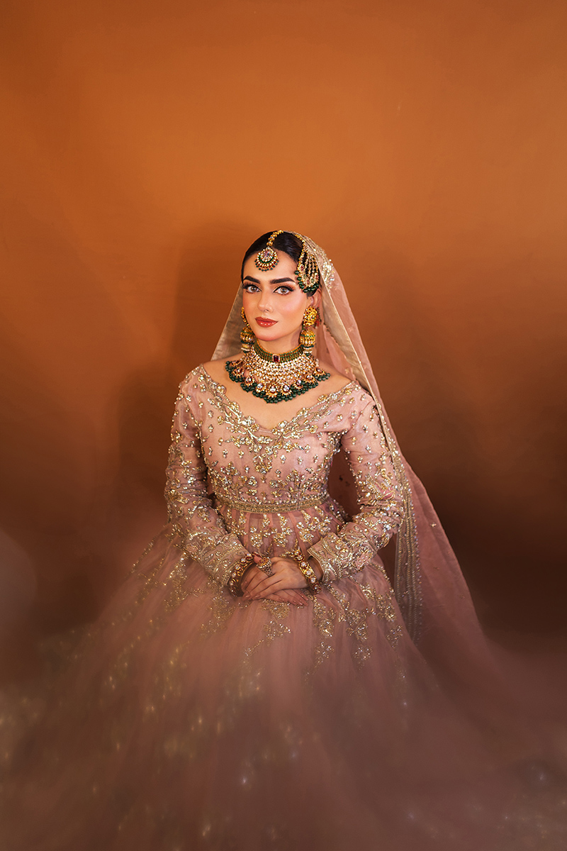 Tea Rose Embellished Organza Pishwas Dress (3-Piece) - Image 3